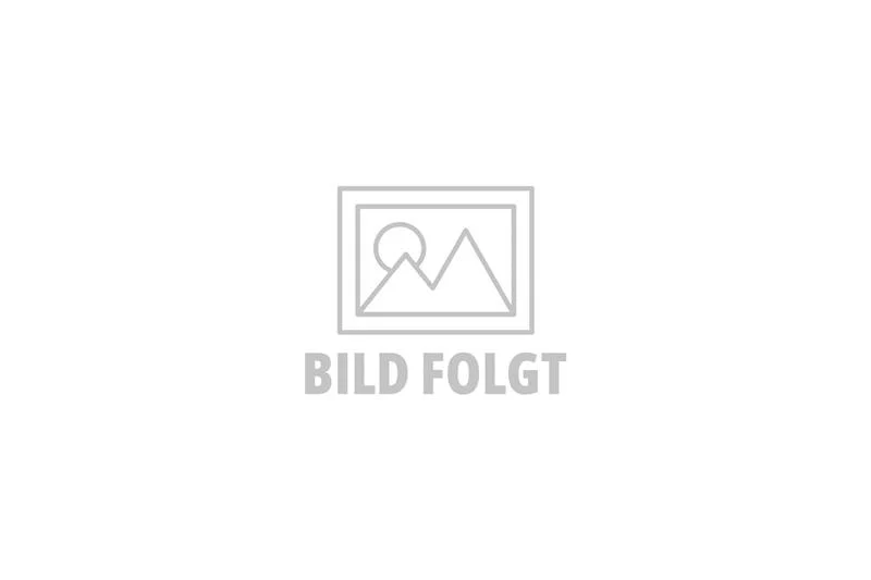Auslasskopf/Kolben zu SE Sofie 48950
